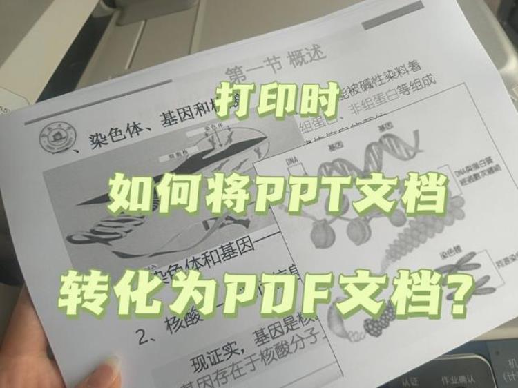 同学们打印时如何将PPT文档转化为PDF文档