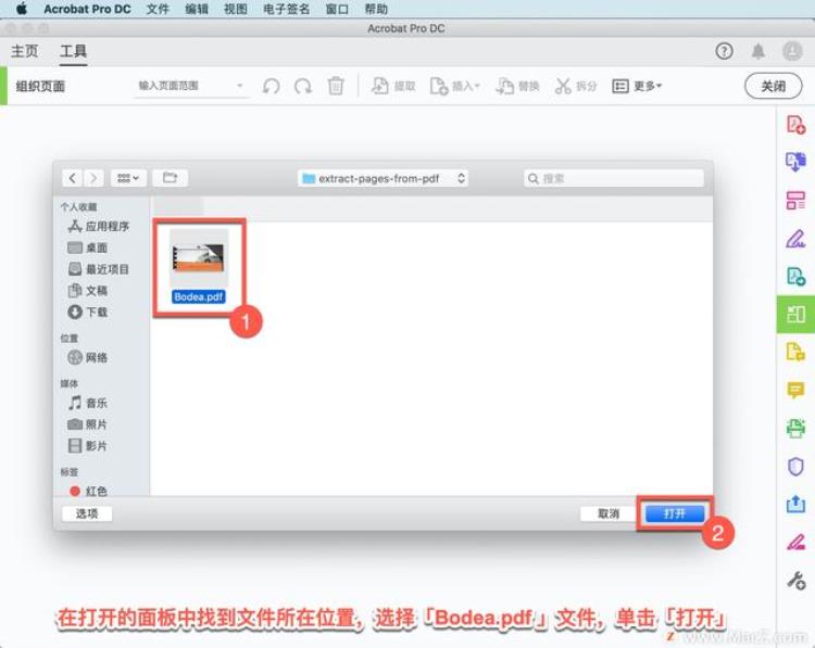 adobe acrobat怎么提取页面「AcrobatProDC教程如何从PDF中提取页面」