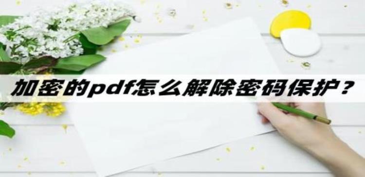 pdf文档受密码保护怎么解除