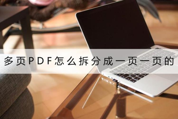 如何将多页的pdf文档分开为单页「多页PDF怎么拆分成一页一页的这两个方法你可以放心用」