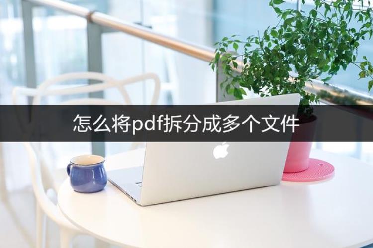 怎么把pdf拆分成多个「怎么将pdf拆分成多个文件分享一个超简单的拆分小妙招」