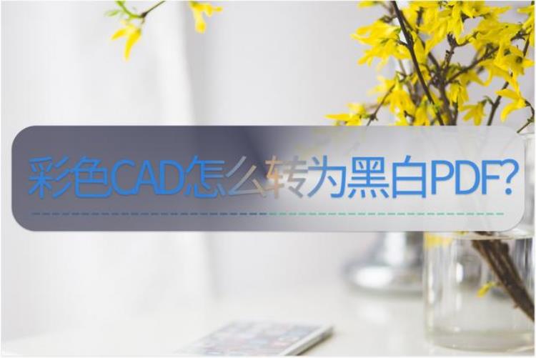 如何把彩色cad转成黑白pdf格式